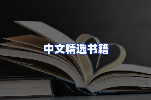中文精选书籍